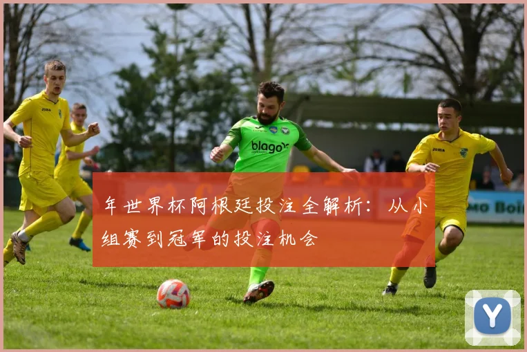 年世界杯阿根廷投注全解析：从小组赛到冠军的投注机会